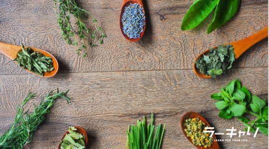 ハーブプロフェッショナル資格取得講座