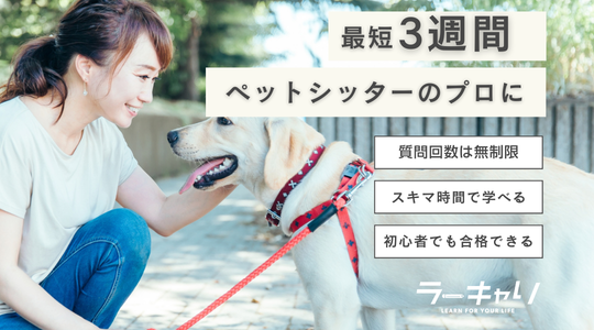 ペットシッタープロフェッショナル資格取得講座 – ラーキャリ
