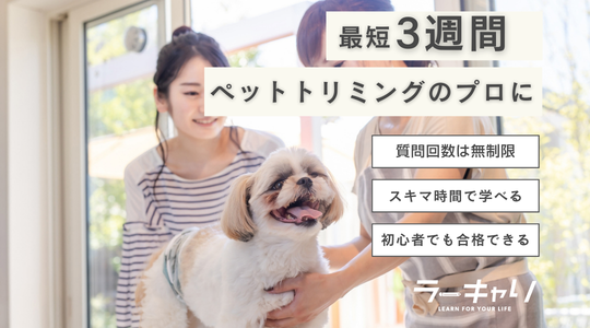 ペットトリミングプロフェッショナル資格取得講座