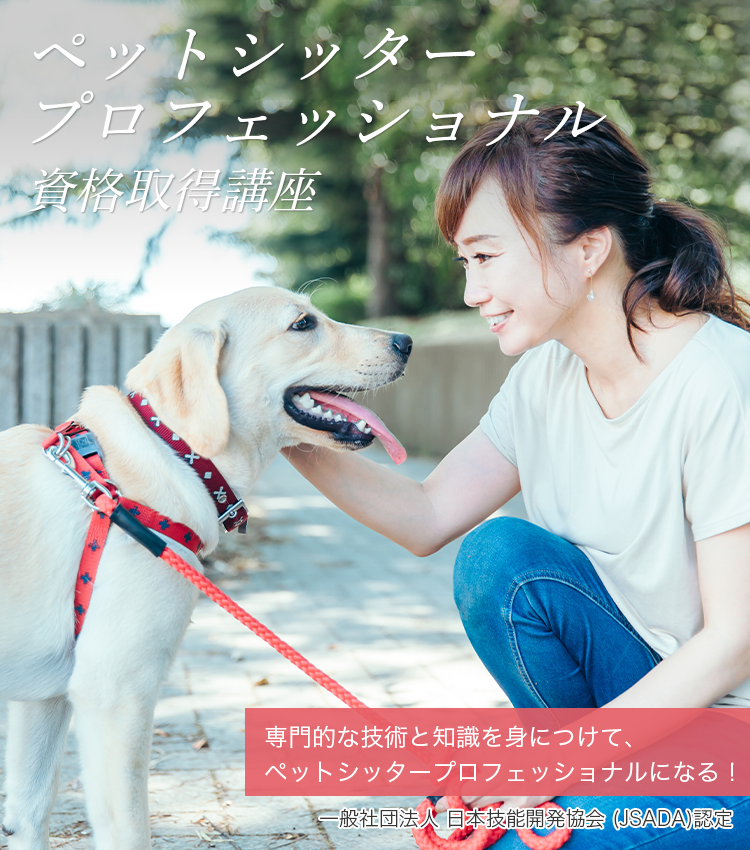 ペットシッタープロフェッショナル資格取得講座